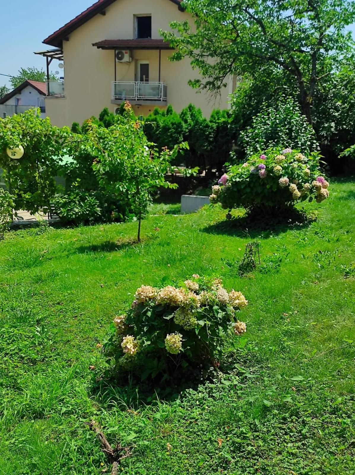 Apartman Zagreb,Rebro,Maksimir,Centar Marko Exterior foto